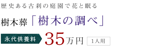 歴史ある古刹の庭園で花と眠る 樹木葬 「樹木の調べ」 永代供養料 35万円 (1人用)